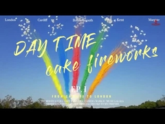 Persoonlijke Mandarijn Pyrotechniek Dag Saluut Taart Vuurwerk 49 schoten