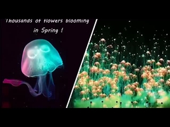 Nieuwjaarsfeestjes Speelgoed vuurwerk kwallen Consumenteneigenschappelijk vuurwerk Skyshots Pyrotechnisch