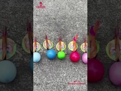 Chinese fabriek Kinderen Vuurwerk Liuyang Zwanen leggen Eieren Vuurwerk Nieuwheid Grappig Speelgoed Vuurwerk Voor Ch