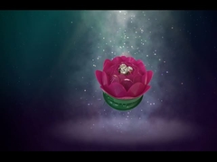 Mooie spinnende lotus vuurwerk / verjaardag speelgoed vuurwerk