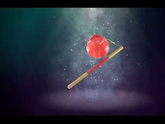 Roja vuurwerk, Nieuwjaars vuurwerk groet