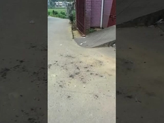 Magische ballen speelgoed vuurwerk 0.03CBM Milieubescherming Voor feestbijeenkomsten