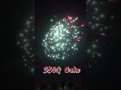 Chinese fabriek 500G 15 Shots Consumenten Cake Fireworks Liuyang Custom Fireworks Exportleverancier