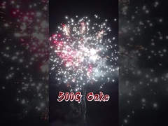 Liuyang Factory 20 Shots Cake Firework Chinese Groothandel Export Pyrotechniek Voor Bruiloft