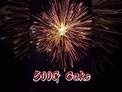 Vuurwerk Liuyang Pyrotechniek 2 inch 12 Shots 500g Consument Cake Vuurwerk Voor de Viering