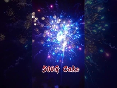 2025 Liuyang Factory Custom Pyrotechnics Chinese vuurwerk buiten 500G 20 Shots Cake vuurwerk