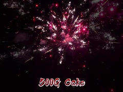 Liuyang Hot Sale Custom Fireworks Factory Wholesale 20 Shots Cake Fireworks Chinees 500g