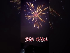 Chinese groothandel 2 inch 36 shots cake vuurwerk pyrotechniek met groot effect 2025 vuurwerk taart