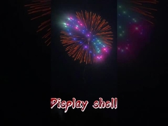 1.3g Professionele vuurwerk display Professionele pyrotechniek 3 4 5 6 8 10 inch display Shell 2025