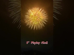 Festivals en feesten 2 