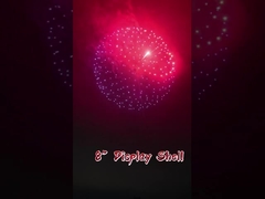 Vuurwerk Ball 8 inch Display Shell Vuurwerk 1.3G Professionele Display Shell Vuurwerk Te koop
