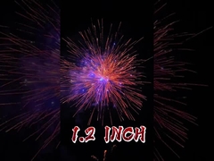 China Pyrotechniek 1,2 inch Vuurwerk 1.4g Consumenten Cake Vuurwerk Fabrieksprijs Outdoor Vuurwerk