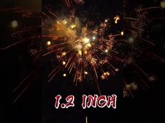 Nieuw aangekomen vuurwerk
