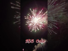 Liuyang Mandarijn Fabriek Groothandel Papier Vuurwerk 1.4g Pyrotechniek 2 inch 25 Shots Cake Vuurwerk