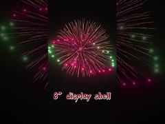 8'' Inch Display Shells 1.3g Professionele Pyrotechnische Kogel Saluut Mortiergranaten Vuurwerk