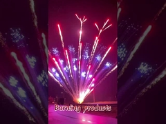 Professionele Taart Vuurwerk Chinese Pyrotechniek 100 150 200 300 600 Schoten 1.3g Taart Vuurwerk