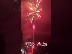 Liuyang Fabriek 116 Schoten Vuurwerk Groothandel Pyrotechniek Chinees Buiten Taart Vuurwerk