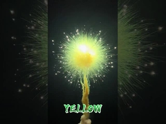 Chinese fabriek Groothandel Kleurrijke rook vuurwerk Dag vuurwerk Huwelijk feest Rookvlam C