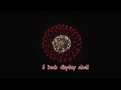 Professionele 1.3g Vuurwerk 2