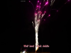 Chinees vuurwerk Wolf Howl en Roze Dahlia Outdoor Wholesale Cake