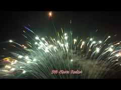 300 foto's Aanpasbare cake vuurwerk Outdoor 1.3G Professionele kleurrijke dag vuurwerk