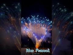 Fabriek 0,8 inch 300 schoten 1,3g Professionele cake vuurwerk display vuurwerk pyrotechniek Saluut