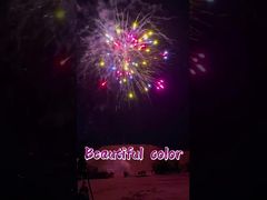 In de fabriek aangepaste prachtige kleur 1,4g consumentenvuurwerk cake vuurwerk batterij cake pyrotechniek