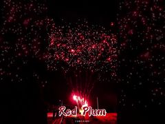 Liuyang Vuurwerkbenodigdheden 56 Schots Saluut Buitenkoek Batterijen Rode Pruim Vuurwerk Pyrotechniek