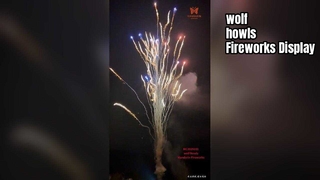Chinese fabriek op maat 100 Shot Wolf Howl Cake Vuurwerk Groothandel Pyrotechniek