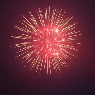 Liuyang Factory 1.3g Professional 8'' Display Shells Supplier Pyrotechnics Balls Fireworks Salute Mortar Shells Fireworks Shell