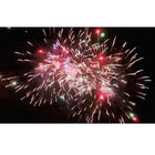 500G 12 Shots Consumer Cake Fireworks From Liuyang 1.4g-Un0336-Fireworks