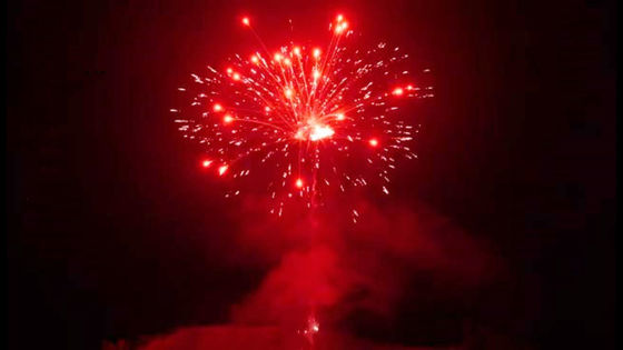 Van de Liuyangdouane de Chinese Openlucht Pyrotechnic 500G 24 Schoten van het de Cakevuurwerk
