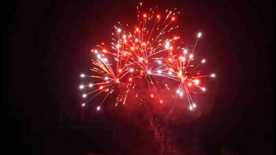 Liuyang 20 Vuurwerk van de Schoten500g Aangepast Cake voor Nieuwjaar