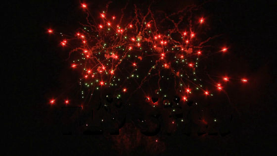 Het Chinese Cakevuurwerk Van de consument paste 25 Schoten500g Pyrotechniek aan