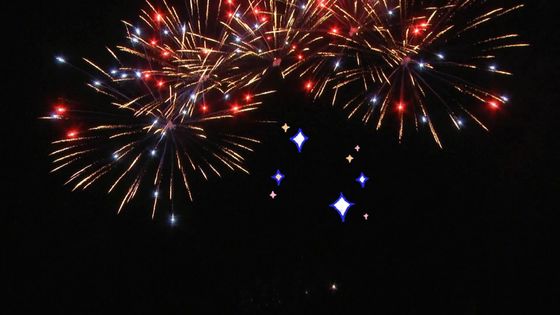 Chinees 25 de Cakevuurwerk van de Schotenventilator voor het Openluchtvuurwerk van de Vieringsdouane