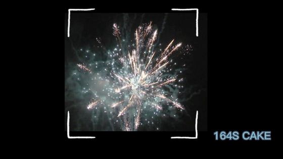 164 Vuurwerktype van de schotencake Groot de Cakevuurwerk van de Kerstmisgelegenheid