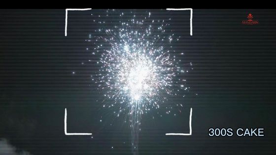 Effect Machinegeweer 300 Schoten de Cake van 500 Gramvuurwerk met de EX AFSL Goedkeuring van Ce