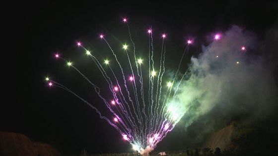 Mandarin 100 van de het Festivalcake van Schotenkerstmis het Vuurwerk Openluchtberoeps