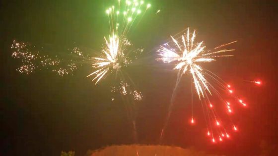 48 Shots Cake Fireworks 1.4g UN0336 met 25*30*200mm buizen en aanpasbare effecten voor festivals