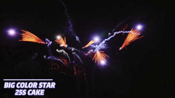Van de de Ventilatorvorm van 25 Schotencakevuurwerk Van de consument de Pyrotechniek 1.4g Un0336