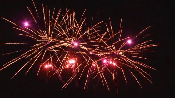 De openluchtventilator van de de Cakepyrotechniek van de 20 Schotenviering vormde Aangepaste 1.4g