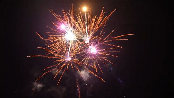 Pyrotechnic 21 Openlucht de Cakevuurwerk van Schoten Goed Gevolgen voor Viering