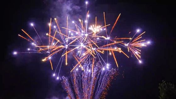 De Schoten van Ce 180 het Cakevuurwerk Van de consument van Liuyang voor de Viering van het Kerstmisnieuwjaar