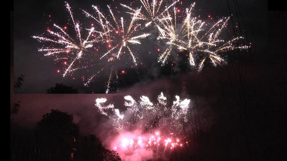 Liuyang vuurwerk 1.3g Un0335 Pyrotechniek 56 Shots Professionele display vuurwerk 1.3g Voor festival viering