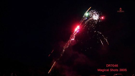 380 van de de Parelsfamilie van het Schotenspit van de Pyrotechniekassortimenten Pakkenvuurwerk
