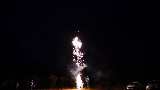 De Familie van vuurwerkassortimenten pakt het Vuurwerk van het Spitparels van de Doospyrotechniek 49s in