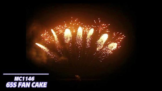 Mandarin Vuurwerkpyrotechniek 65 Schotenventilator Gevormd Vuurwerk