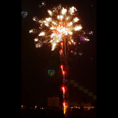 Het de Fabriekenvuurwerk van de Liuyangpyrotechniek 196 Vuurwerk van het Vuurwerk Speciaal Gevolgen van de Schoten Professioneel Cake toont