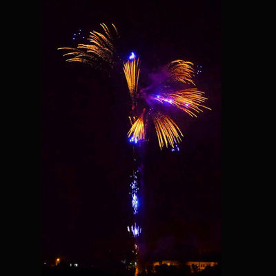 352 de schoten Aangepaste Voetzoekers van de de Voetzoekerscake van het Nieuwjaarvuurwerk Pyrotechnic Grote voor Viering