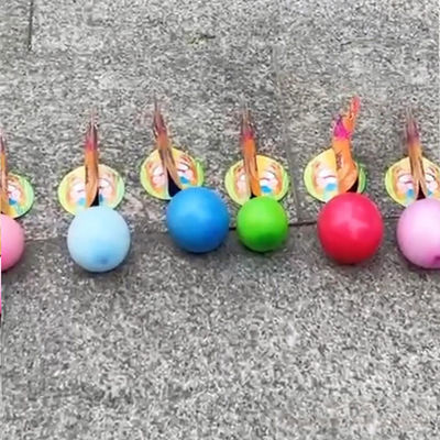 De Chinese Zwaan die van het Vuurwerkliuyang van Fabrieksjonge geitjes de Nieuwigheid Grappig Toy Fireworks For Christmas leggen van het Eierenvuurwerk